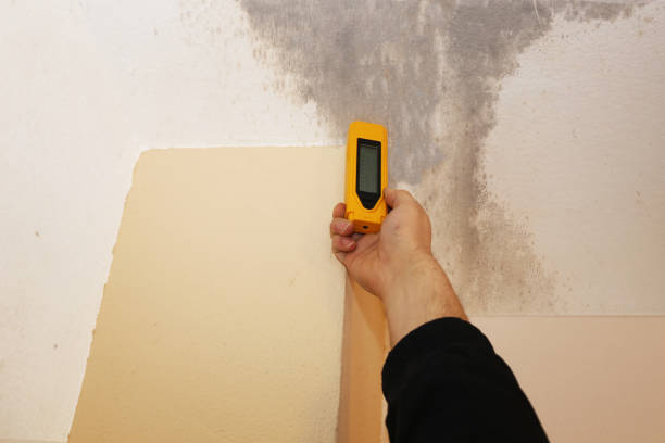  Sumter, SC Mold Removal Pros