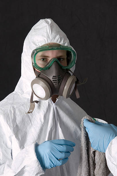 Best Mold Damage Restoration  in Sumter, SC